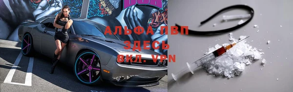 МДПВ Дмитриев