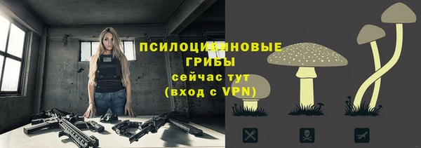 МДПВ Дмитриев