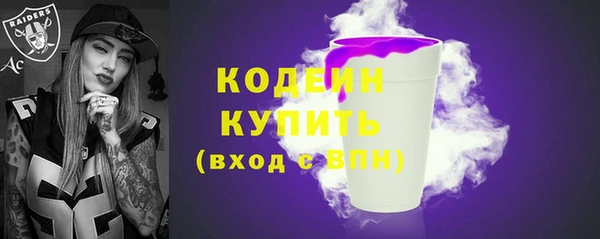 МДПВ Дмитриев