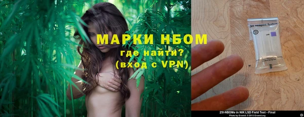 МДПВ Дмитриев