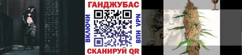 Купить  Яблоновский  МАРИХУАНА сатива 